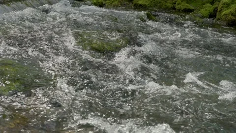 Beautiful river rapids closeup in slow motion Stock Footage 341830103