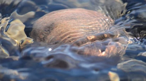 Beautiful river rock with cold water flow streaming over closeup Stock Footage 67629563