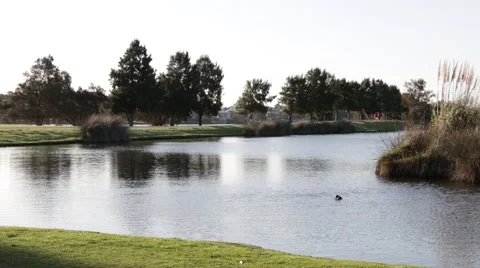 Beautiful river scenery in Perth Stock Footage 58495763