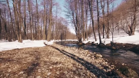 Beautiful river in the spring forest, Bashkortostan, Russia Stock Footage 73960857