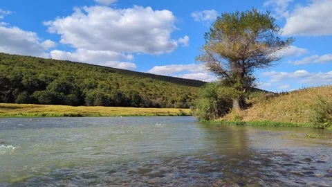 Beautiful river stream running through dense green trees and vibrant vegetation. 動画素材 346597129