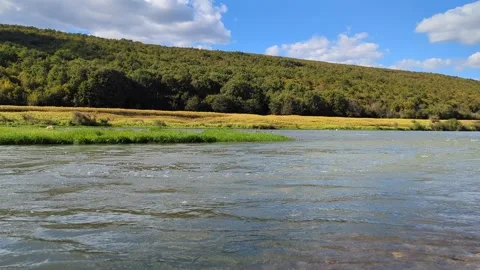 Beautiful river stream running through dense green trees and vibrant vegetation. 動画素材 346597151