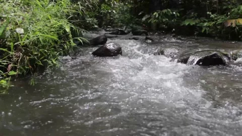 Beautiful river on a sunny day Stock Footage 219315984
