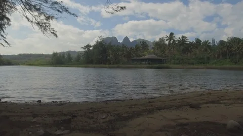 Beautiful river surrounded with green trees in forest Stock Footage 104939005