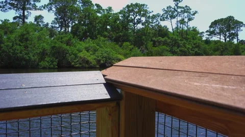 Beautiful river video in Florida! Stock Footage 152958013
