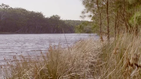 Beautiful River View in Australia Stock Footage 88310029