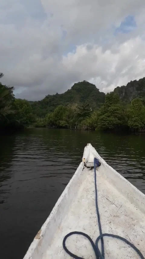 Beautiful river view Stock Footage 245912866