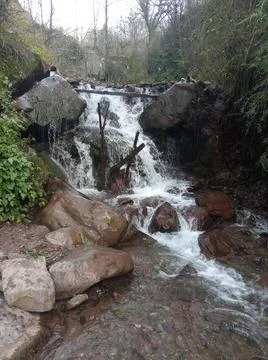 Beautiful River View Foto stock