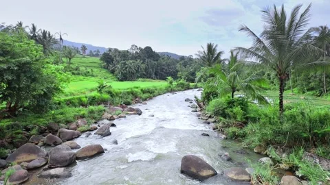 Beautiful river views Video stock 271228403