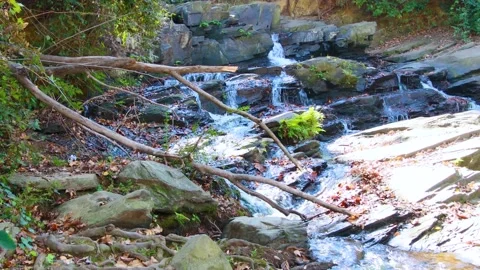 A beautiful river waterfall in the south Stock Footage 143665881