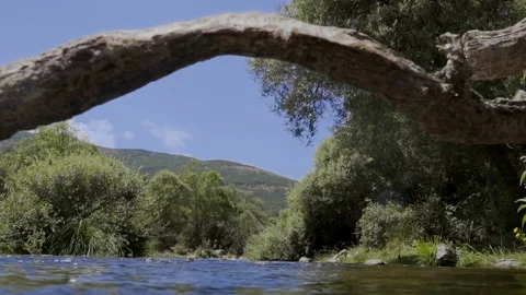 Beautiful riverbed in summer Stock Footage 143776741