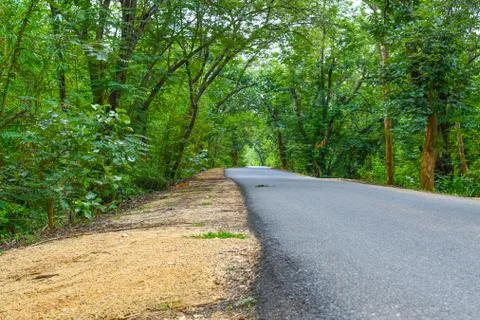 Beautiful Road Among Green Nature View Looking Cool 02 Stock Photos