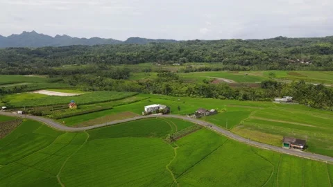 Beautiful road Stock Footage 148141100