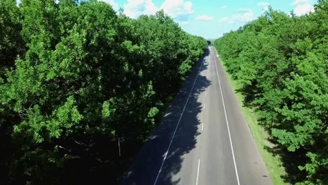 A beautiful road Video stock 155706388
