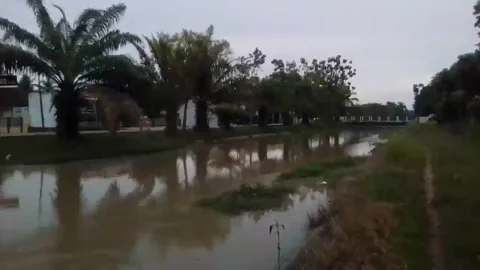 Beautiful Road Stock Footage 172137165