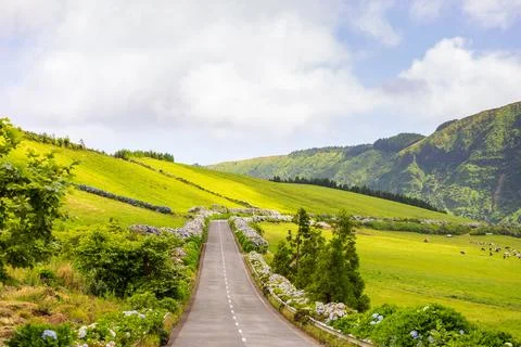 Beautiful road with green fields in Sete Cidades. Sao Miguel island, Azores Stock Photos