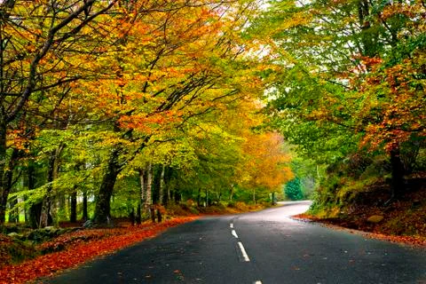 Beautiful road Stock Photos