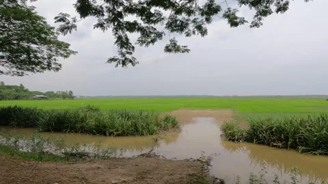 Beautiful Road in Sada Pathor Stock Footage 259137510