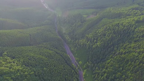 Beautiful road through the forest in the mountains Stock Footage 64775877