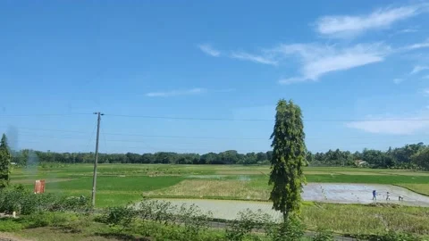 THE BEAUTIFUL ROAD IN THE TRAIN Stock Footage 198243390