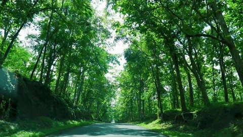 Beautiful road trip Stock Footage 135825307
