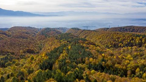 A beautiful road view through the forest in autumn. Stock Photos