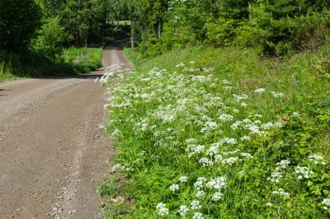 Beautiful roadside Stock Photos