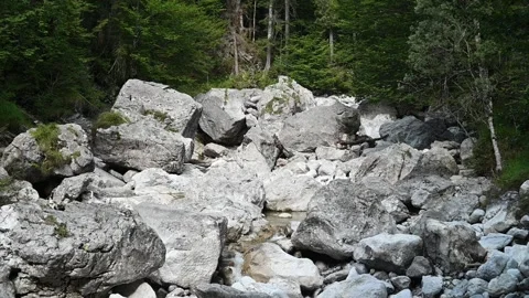 Beautiful rocks in a stream bed in the mountains (slow motion) Video stock 219631484
