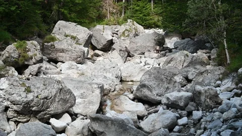 Beautiful rocks in a stream bed in the mountains Stock-Footage 219631789