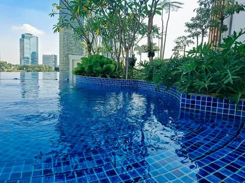 A beautiful rooftop infinity swimming pool with vibrant blue tiles, decorat.. Stock Photos