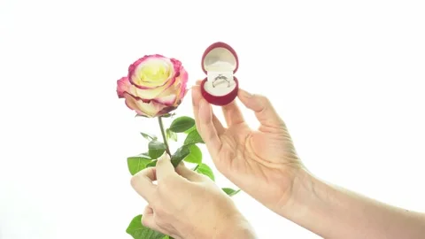Beautiful rose and a ring in a box in the shape of a heart in female hands on a Stock-Footage 147951877