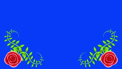 Beautiful rose animation on blue background 스톡 동영상 268470531