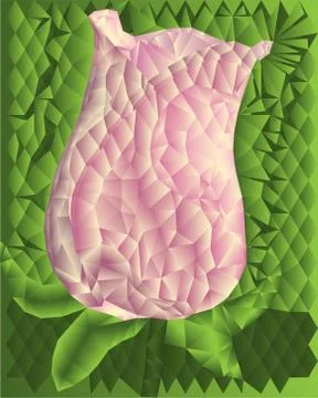 Beautiful rose Stock Illustration