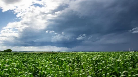 Beautiful rotating supercell and storm over the Canadian Prairies Stock Footage 116277550