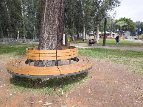 Beautiful Round Bench Surrounding a Tree in the National Park in Ramat Gan Stockfoto's