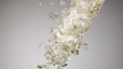 Beautiful round grain rice falling in slow motion Stock Footage 151042484