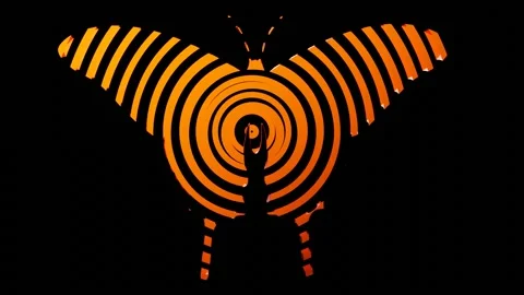 Beautiful round or circle texture formation on the butterfly body shape. Stock Footage 139467570