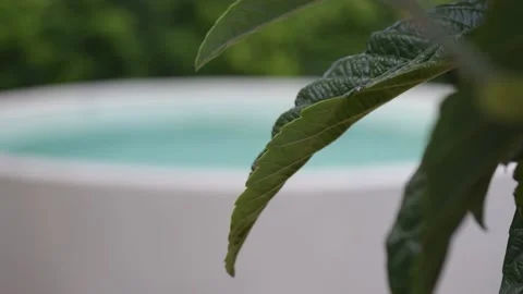 Beautiful round pool surrounded by green countryside Stock-Footage 141330904