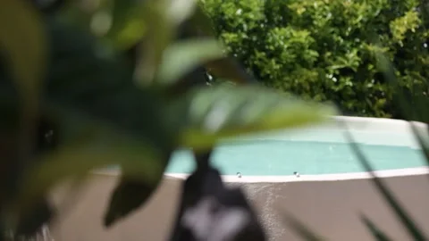 Beautiful round pool surrounded by green countryside Stock Footage 141332203