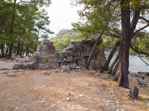 Beautiful ruins in the pine forest of Phaselis Foto stock