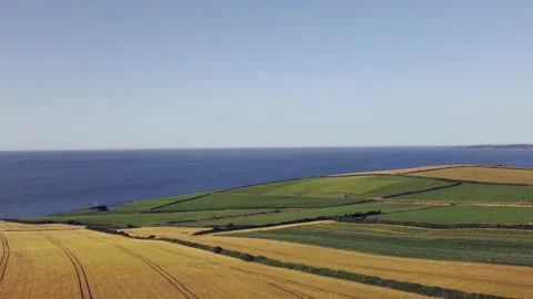 Beautiful rural Ireland with patchwork fields in yellow and green. Coastal Stock-Footage 157483194