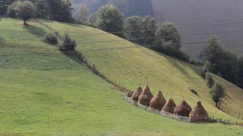 Beautiful rural landscape, many haystack on green spring nature Stock Footage 32687180