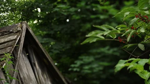 A Beautiful Rustic Cabin Cozy Nestled Among Lush Greenery Boasting the Heart of Stock Footage 280415774