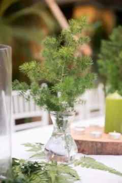 Beautiful rustic garden wedding setup Stock Photos