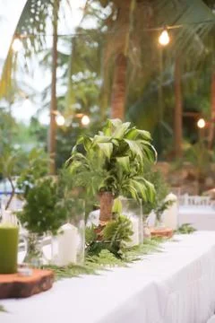 Beautiful rustic garden wedding setup Stock Photos