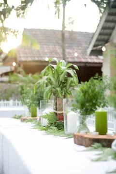 Beautiful rustic garden wedding setup Stock Photos