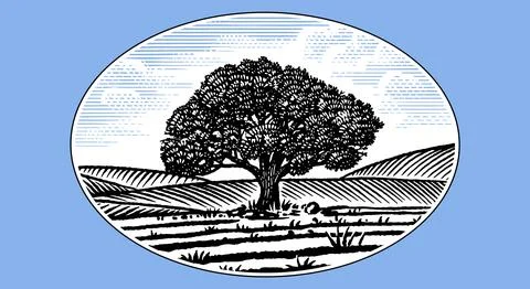 Beautiful rustic landscape with big old oak tree in the meadow. hills and Stock Illustration