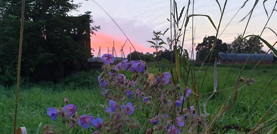 BEAUTIFUL RUSTIC SUNSET IN SUMMER Stock Photos