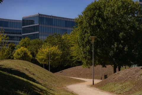 Beautiful s-shape path in park with trees and buildings Stock Photos