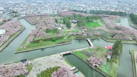 Beautiful Sakura Cherry Blossom in Spring season from Goryokaku Tower in Ha.. Stock Footage 315206964